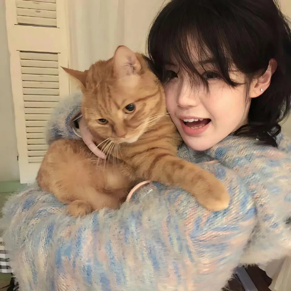 团宠六小姐太野，禁欲妄爷难把持